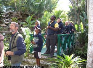 Birding at Garden of the Groves