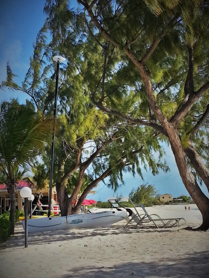 Beach at Bohio Dive Resort