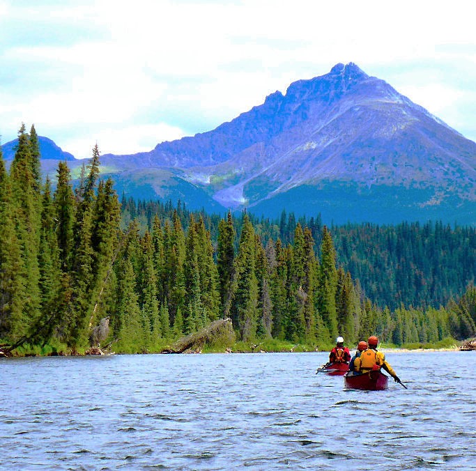 Paddling with ELEMENTS Adventure Company
