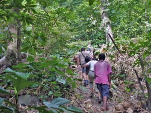 Trail to the ridge -web