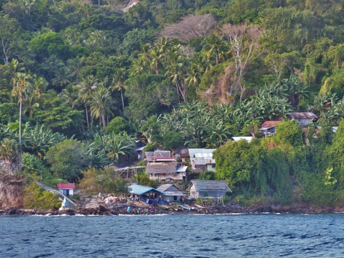 Village on Serua island