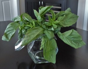 Basil bouquet