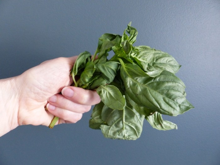 Handful of basil