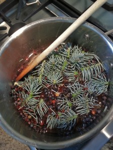 spruce tip and rose hip syrup - web