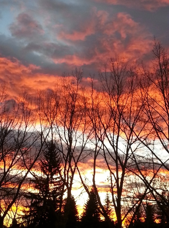 November Sunrise - Calgary