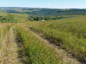 Trail's End Beef Historic Ranch