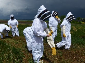 Hanging with the Honey Bees